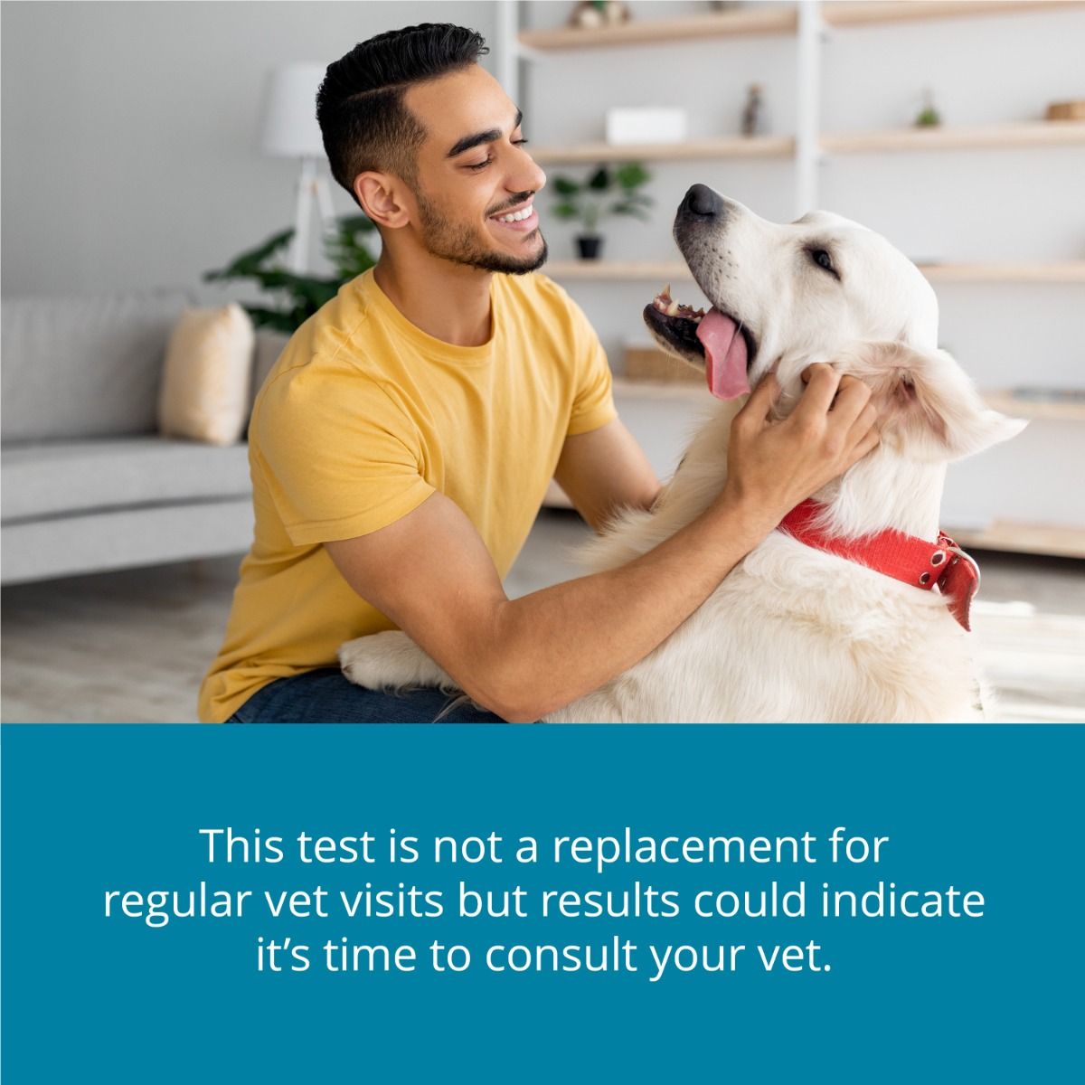 5-petivity-at-home-kidney-health-testing-kit-dog-consult-vet.jpg
