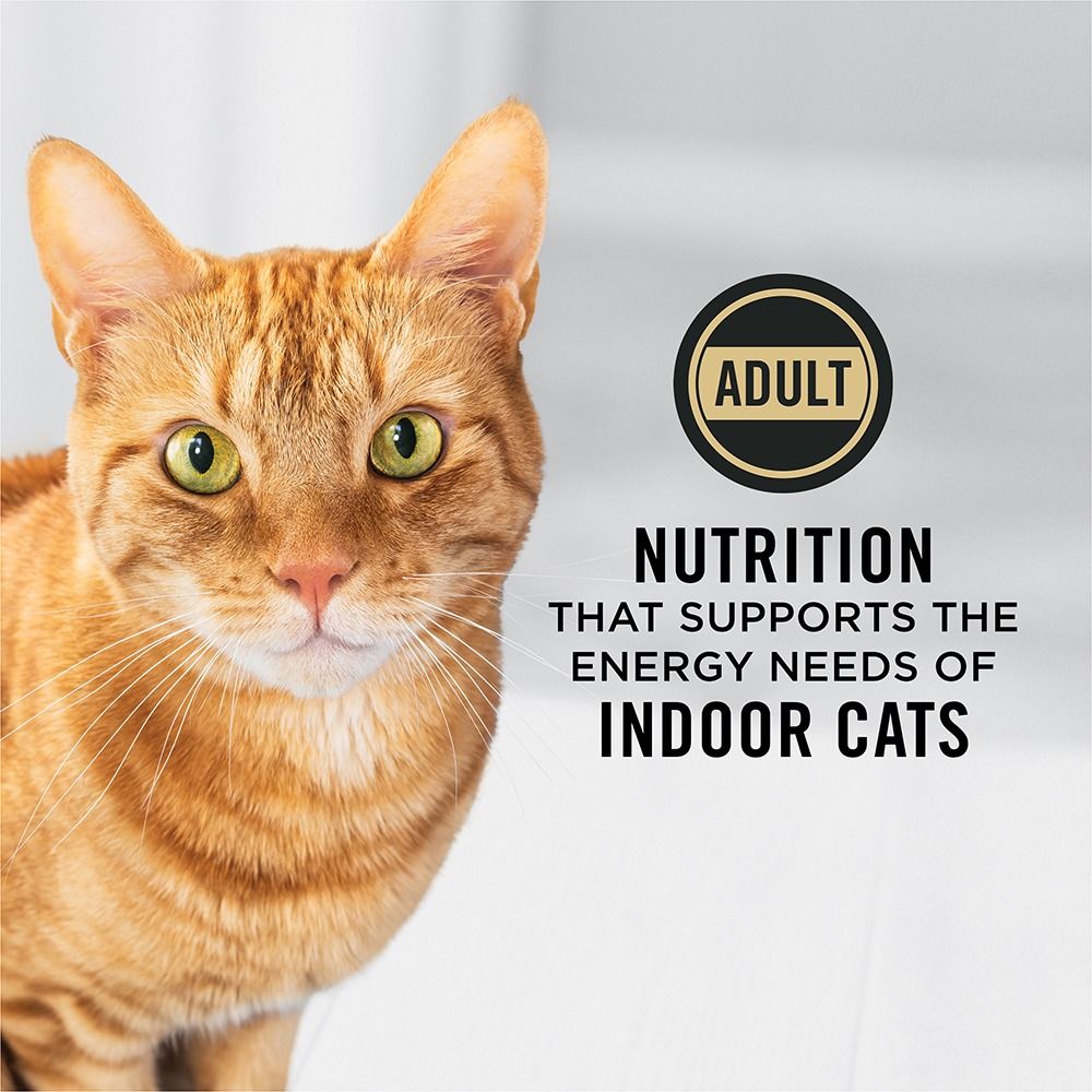 pro-plan-adult-indoor-hairball-turkey-dry-cat-food-ad-nutrition-supports-indoor-cats.jpg
