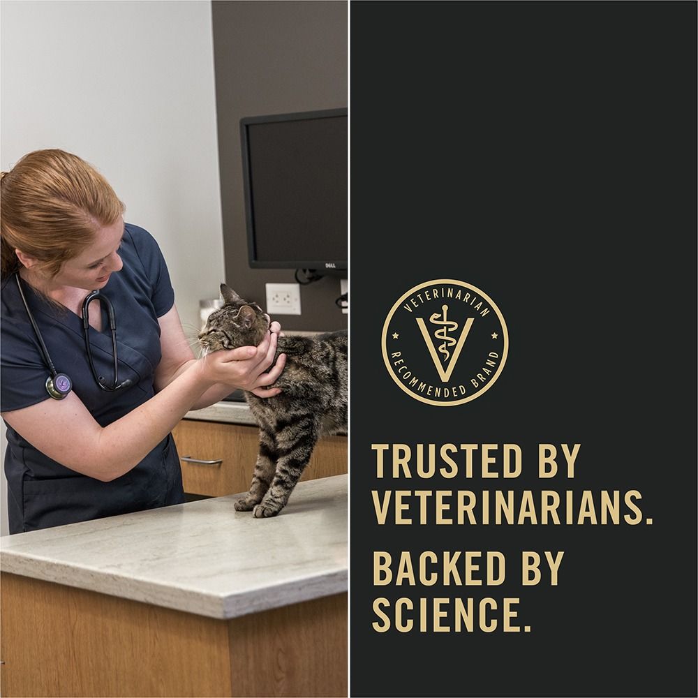 pro-plan-adult-indoor-hairball-turkey-dry-cat-food-ad-trusted-by-vets-backed-by-science.jpg