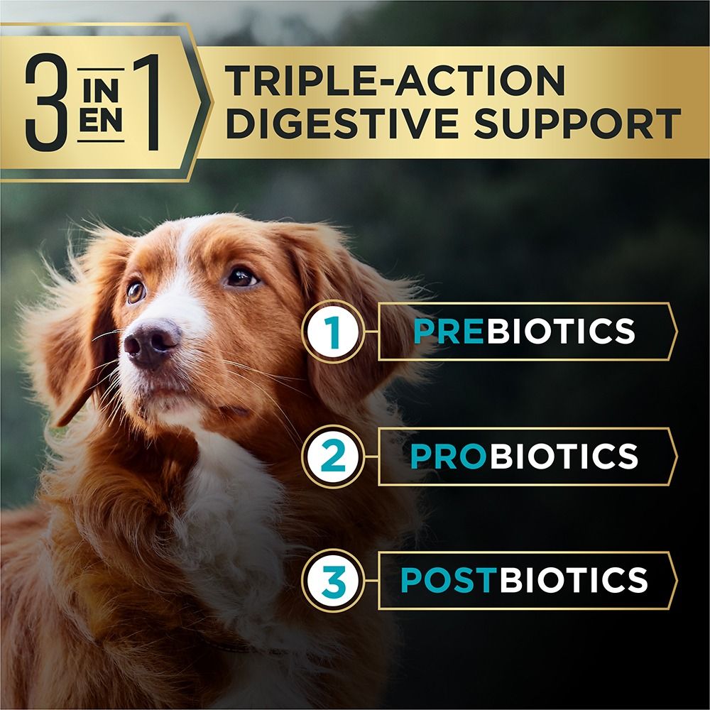 pro-plan-advantedge-digestive-support-dry-dog-food-triple-action.jpg