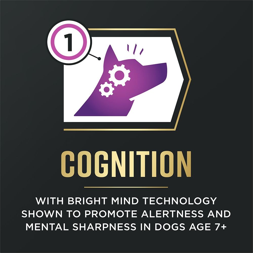 pro-plan-advantedge-senior-support-dry-dog-food-cognition.jpg