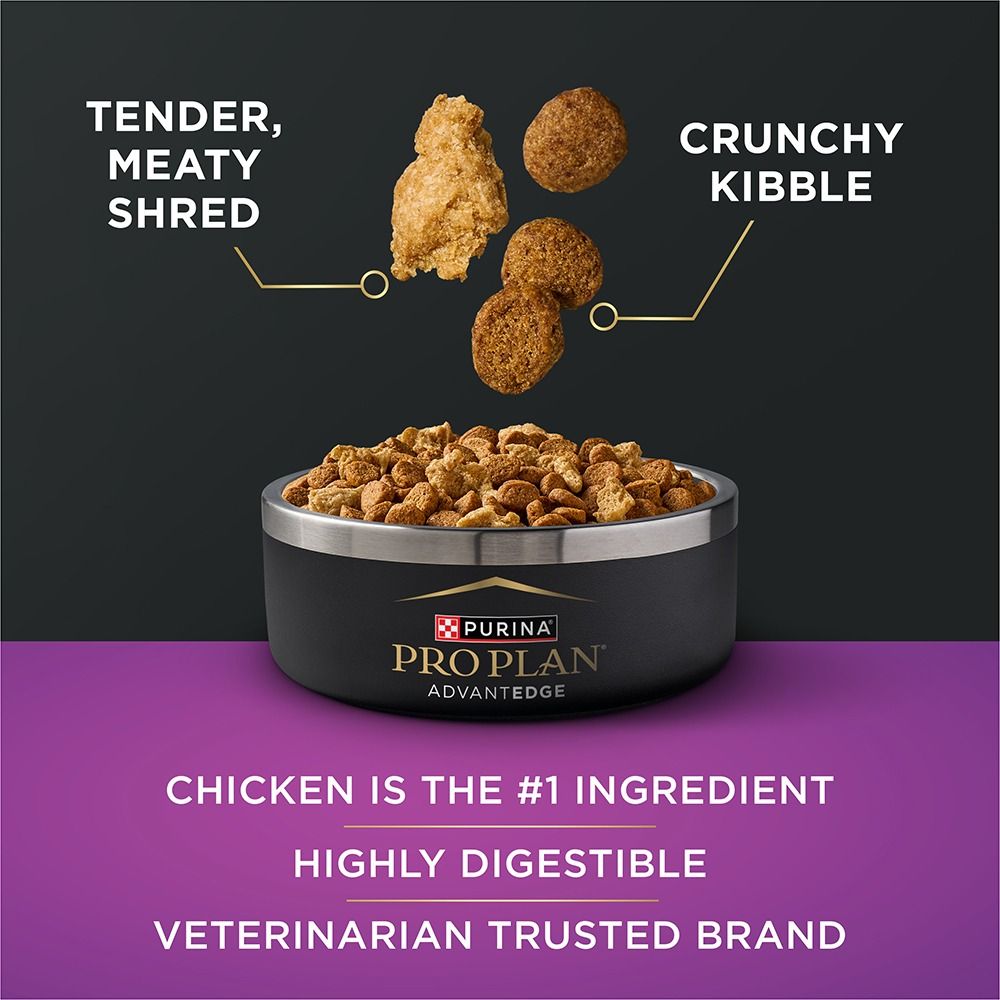 pro-plan-advantedge-senior-support-dry-dog-food-tasty-chicken.jpg