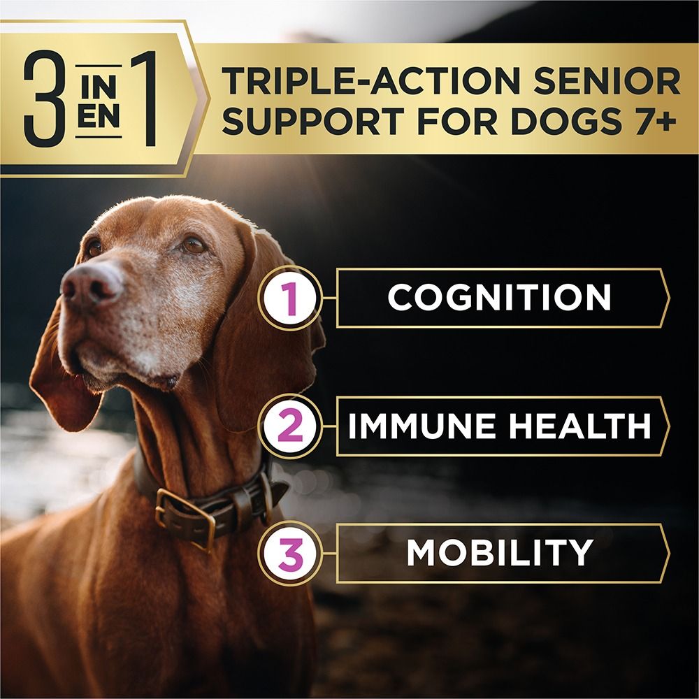 pro-plan-advantedge-senior-support-dry-dog-food-triple-action_1.jpg