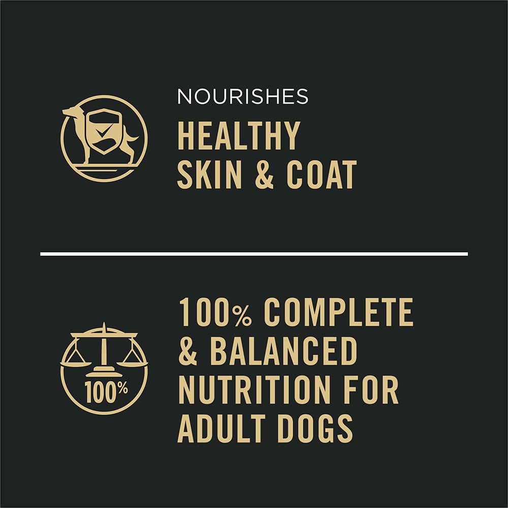 pro-plan-complete-essentials-wet-dog-food-skin-coat-complete-balanced_1.jpg