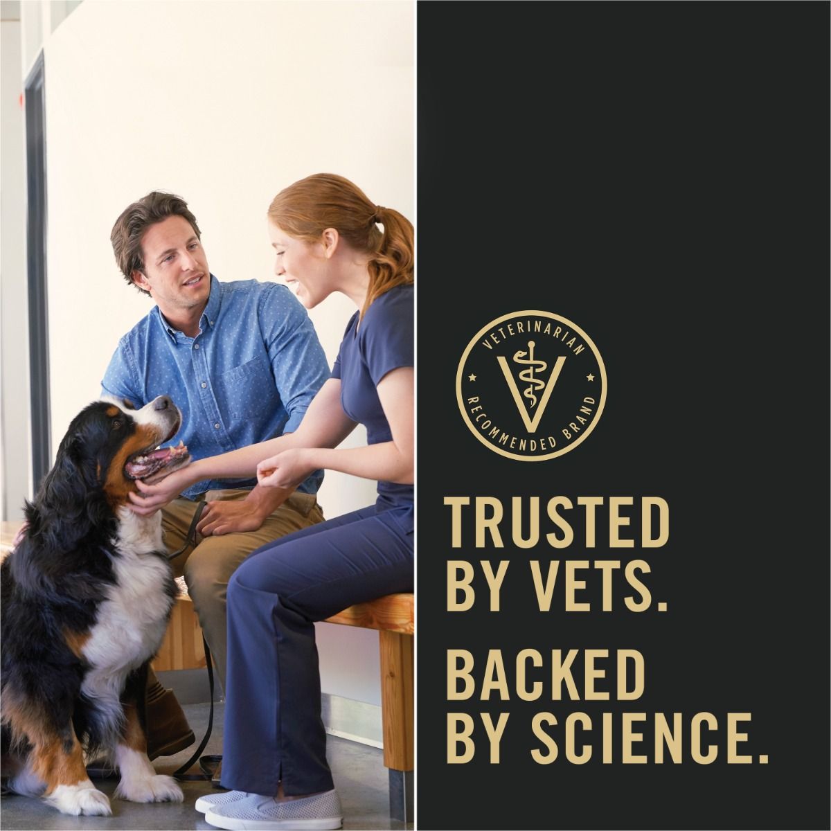 pro-plan-dog-food-trusted-by-vets_1.jpg