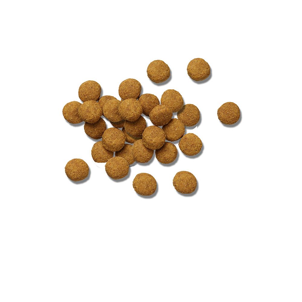 pro-plan-veterinary-diets-dh-dental-health-kibble.jpg