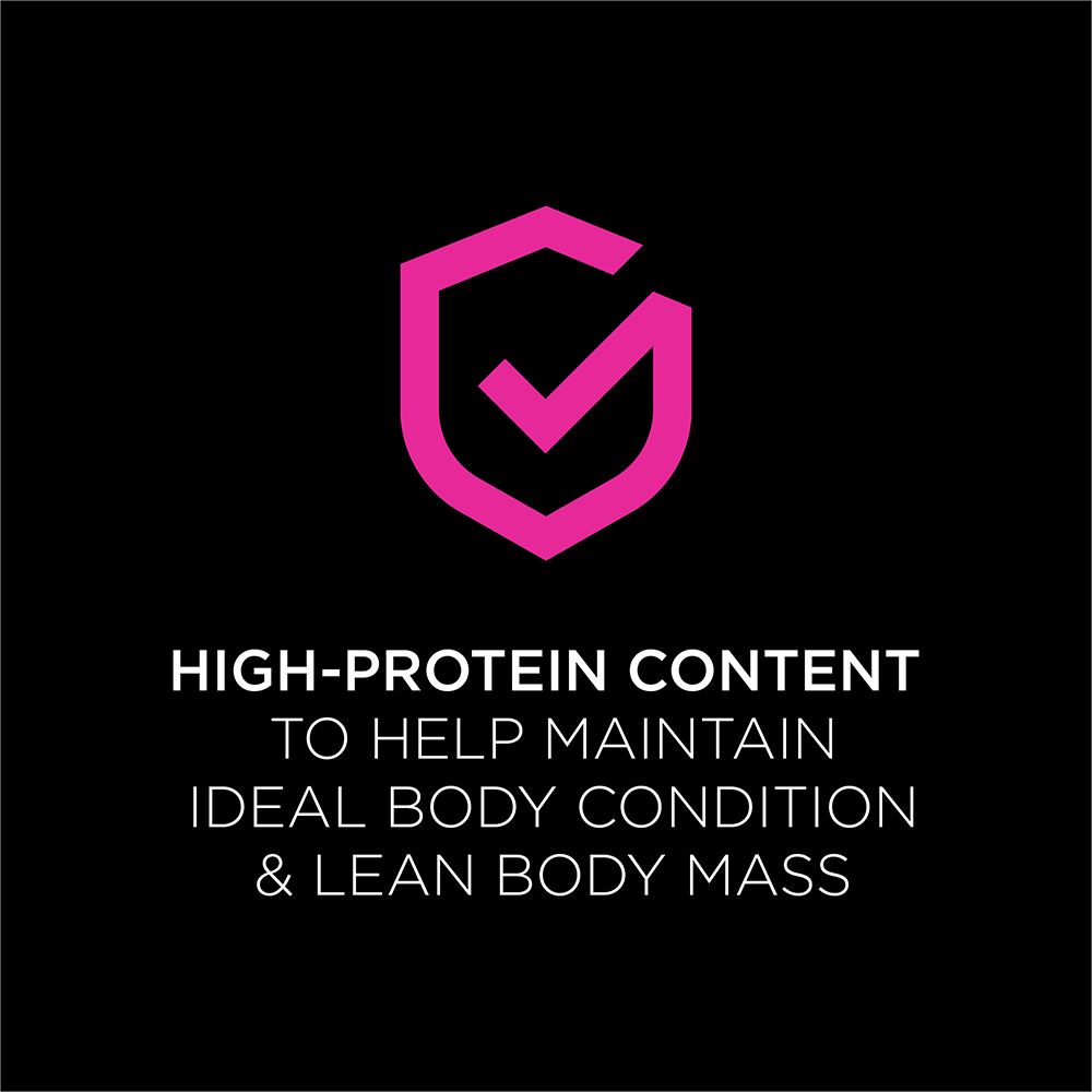 pro-plan-veterinary-diets-ur-savory-selects_variety-pack-high-protein.jpg