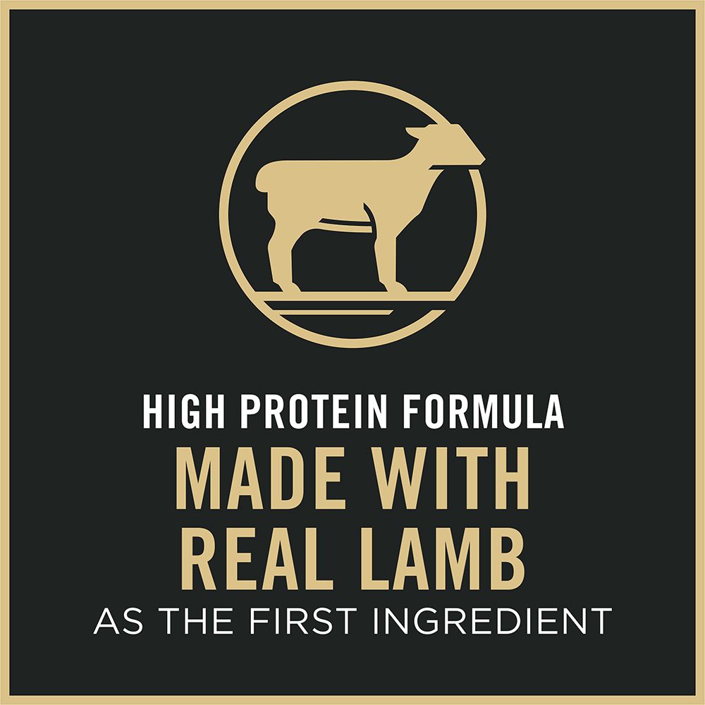 purina-pro-plan-sensitive-skin-stomach-lamb-rice-dry-cat-food-high-protein.jpg