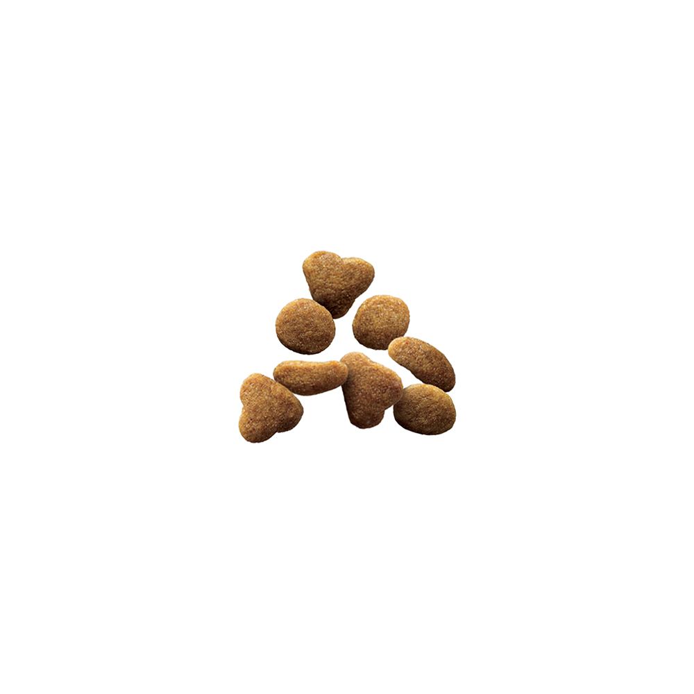 purina-pro-plan-sensitive-skin-stomach-lamb-rice-dry-cat-food-kibble.jpg